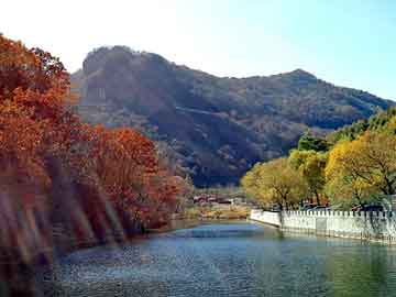 新澳天天开好彩大全，上海钢塑土工格栅